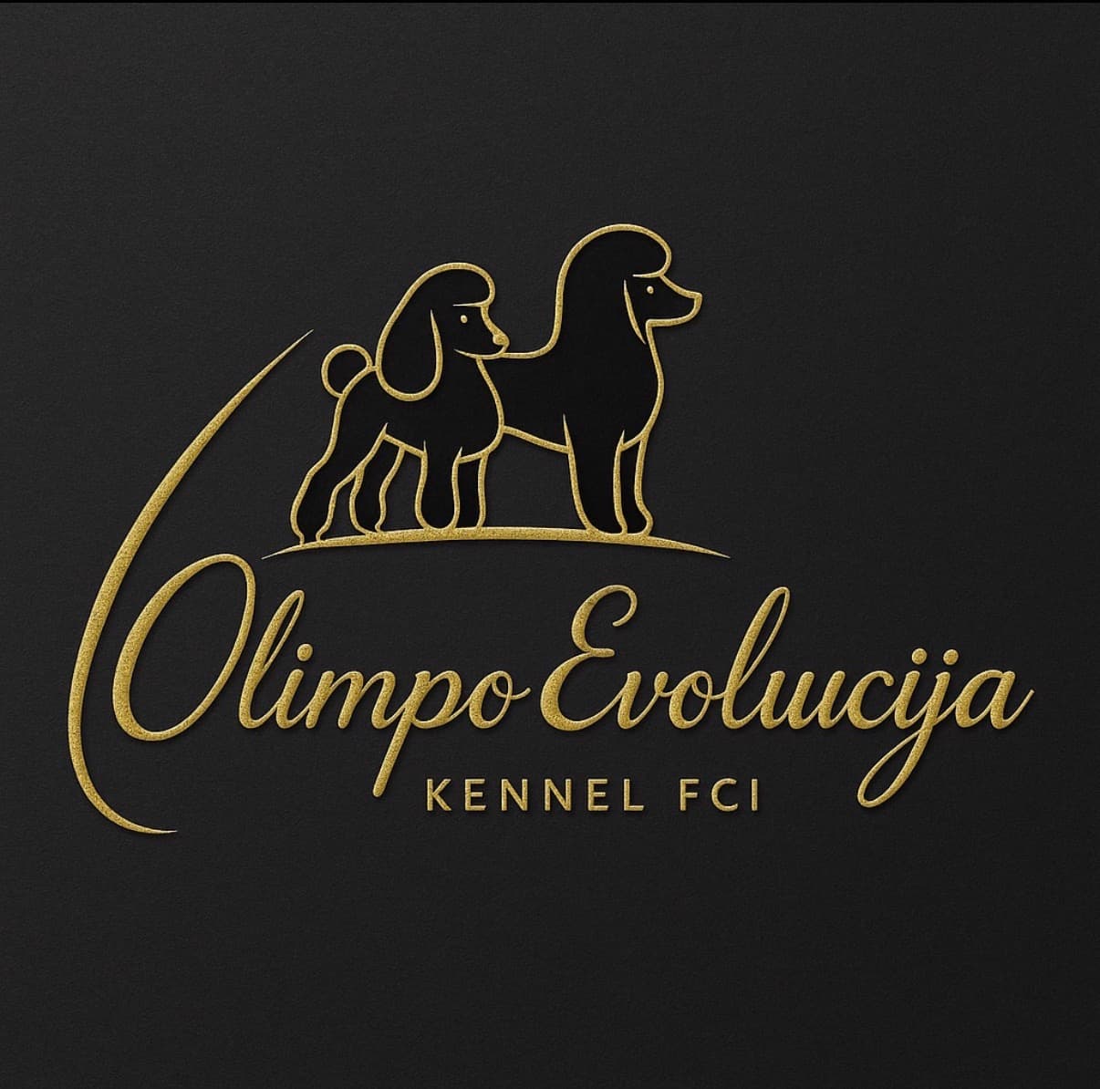 Olimpo evoliucija Kennel