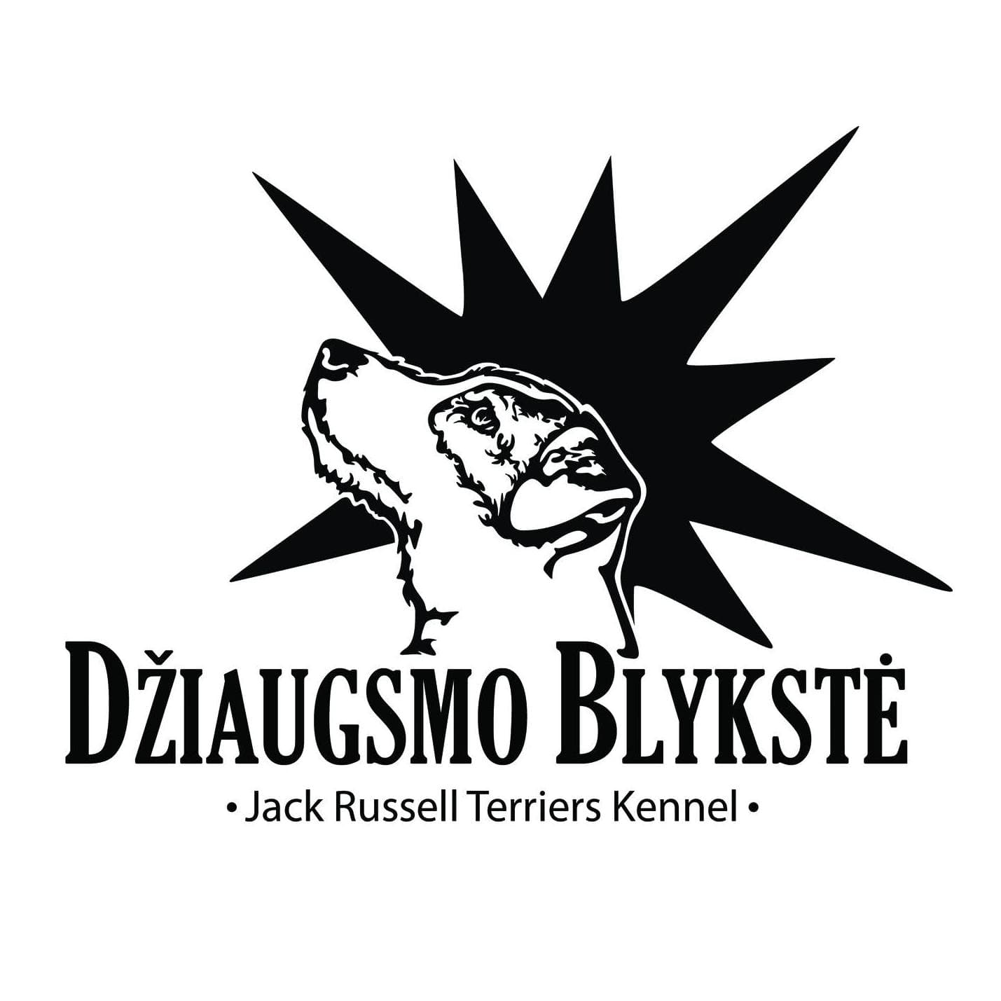 Džiaugsmo Blykstė