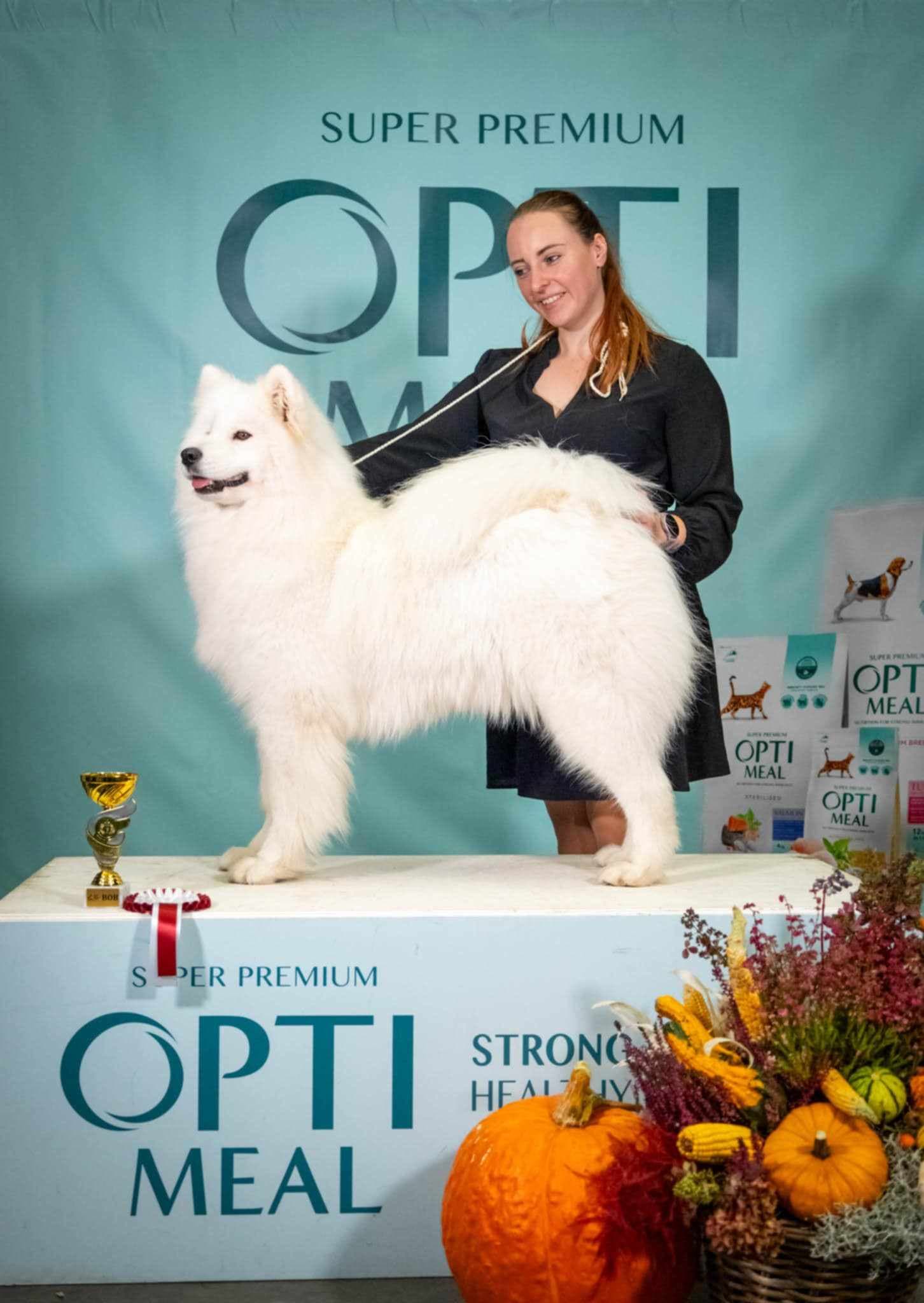 Veislynas Baltoji Meškutė