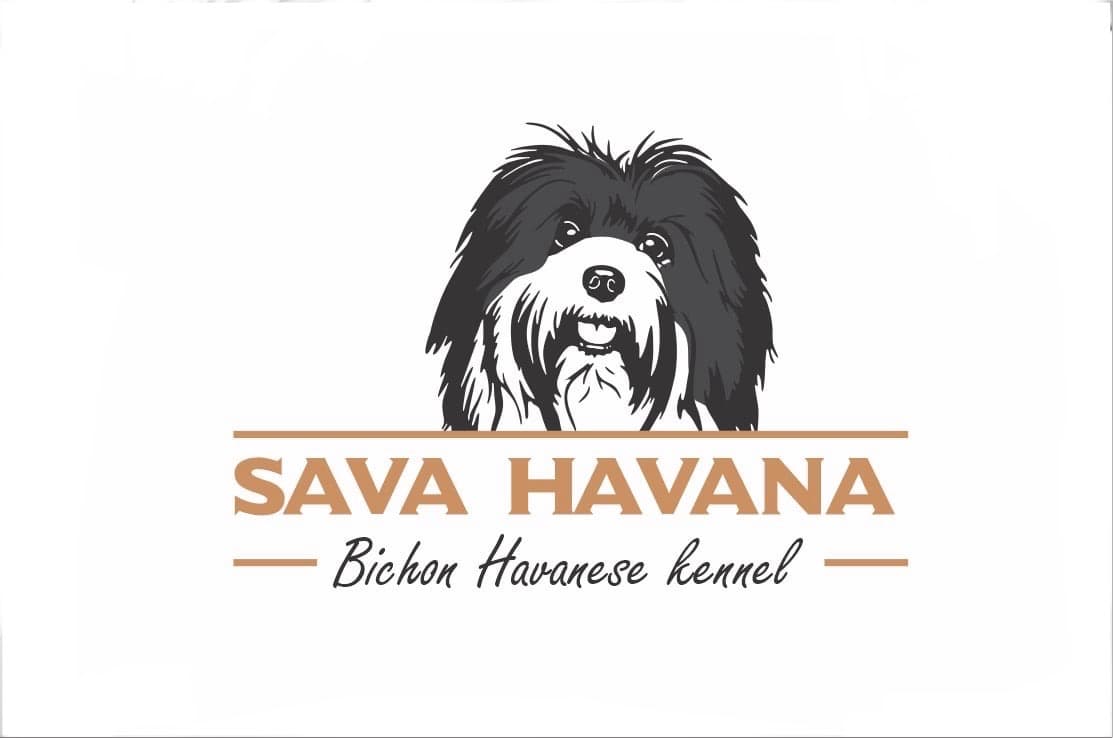 SAVA HAVANA