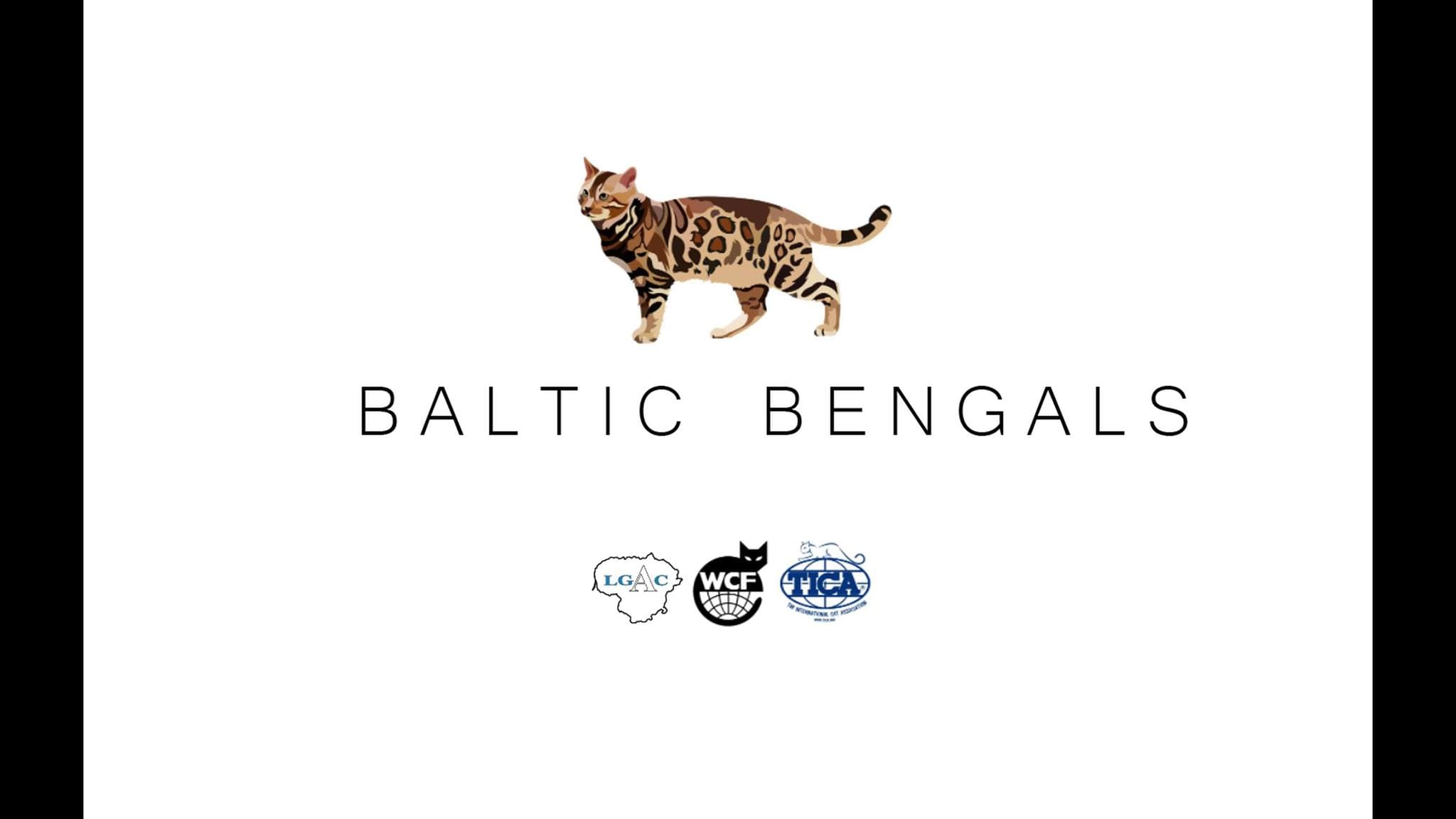 Baltic Bengals