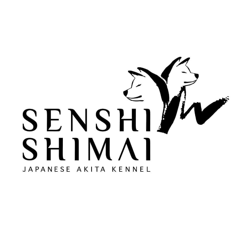 Akita Kennel Senshi Shimai (FCI)