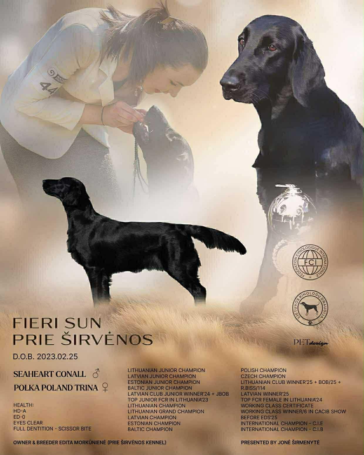 Lygiaplaukių retriverių veislynas Prie Širvėnos