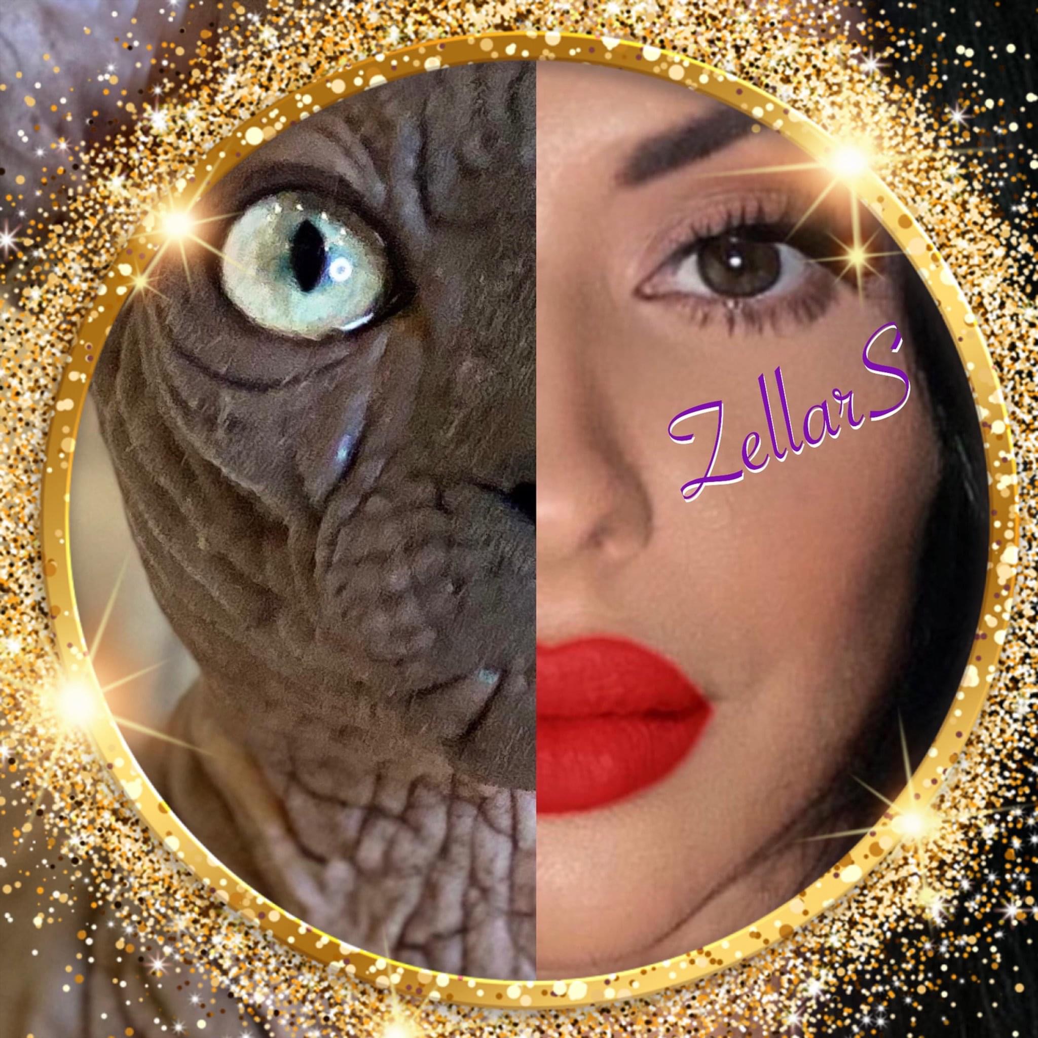 Sphynx Grand Zellars / Golden Rex