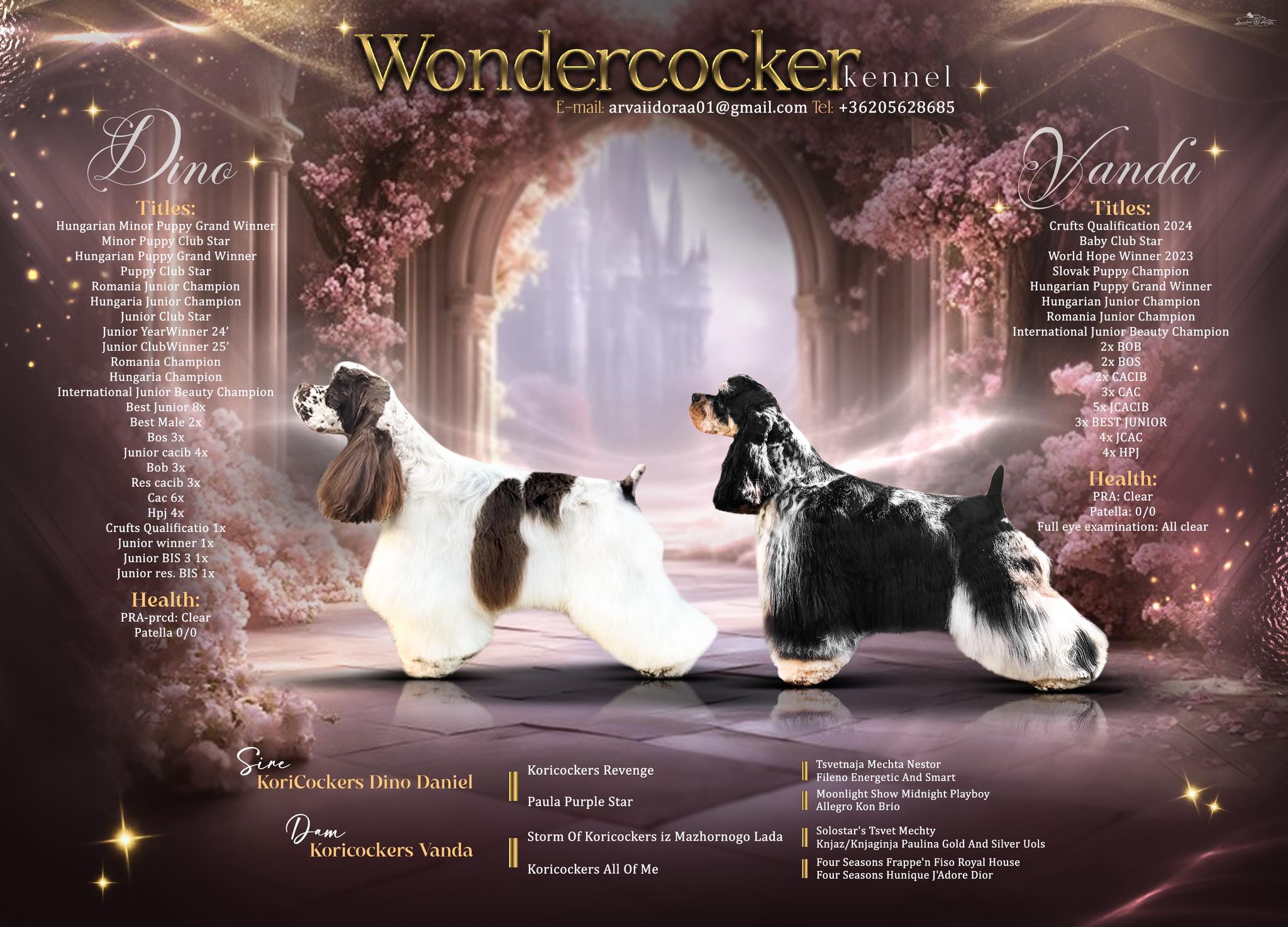 Wondercocker