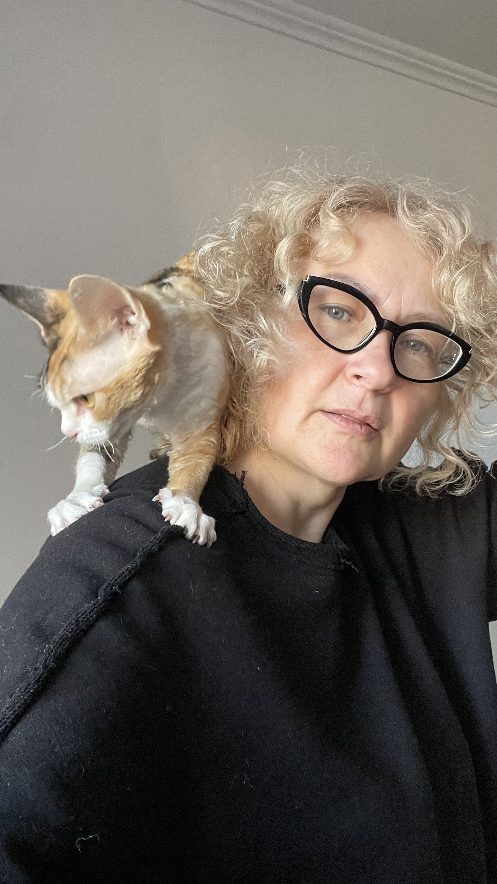 Belegestel Devon Rex