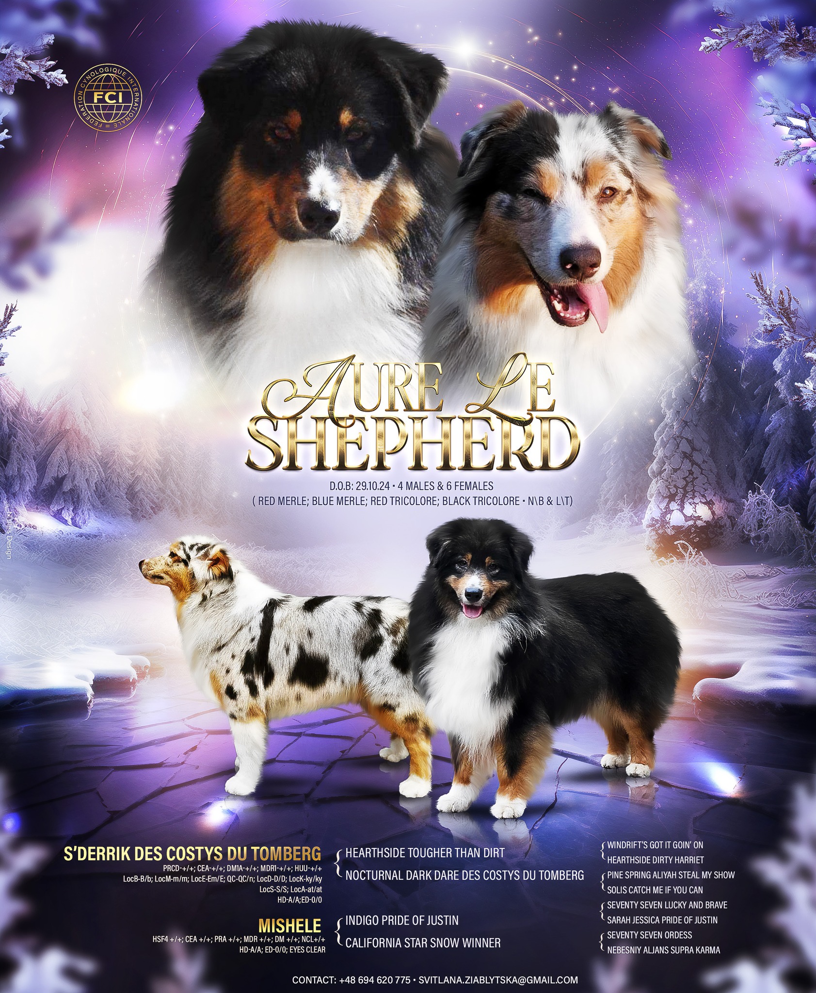 Aure Le Shepherd