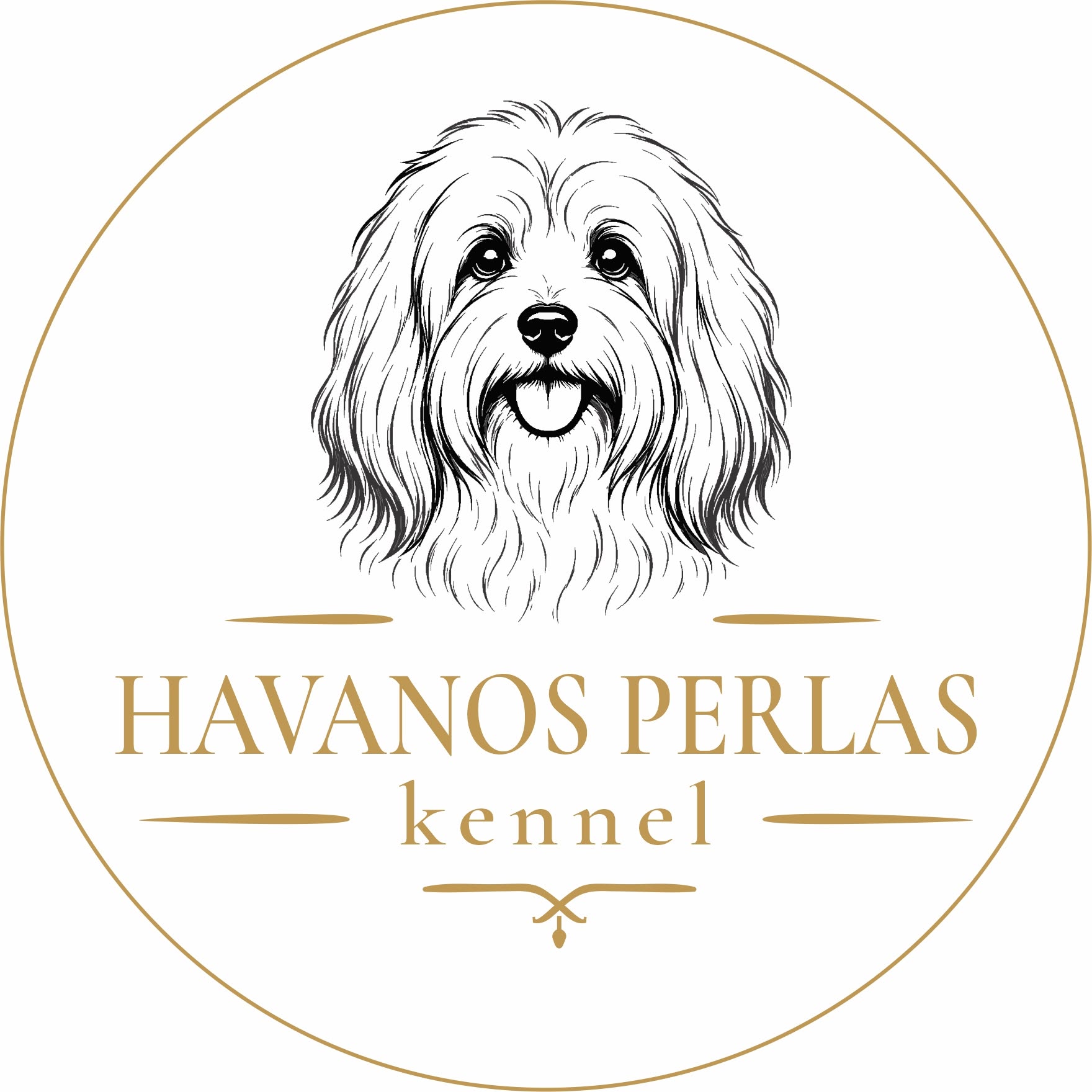 HAVANOS PERLAS