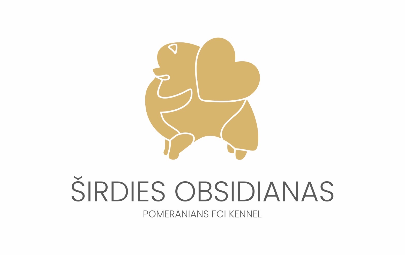 Širdies Obsidianas