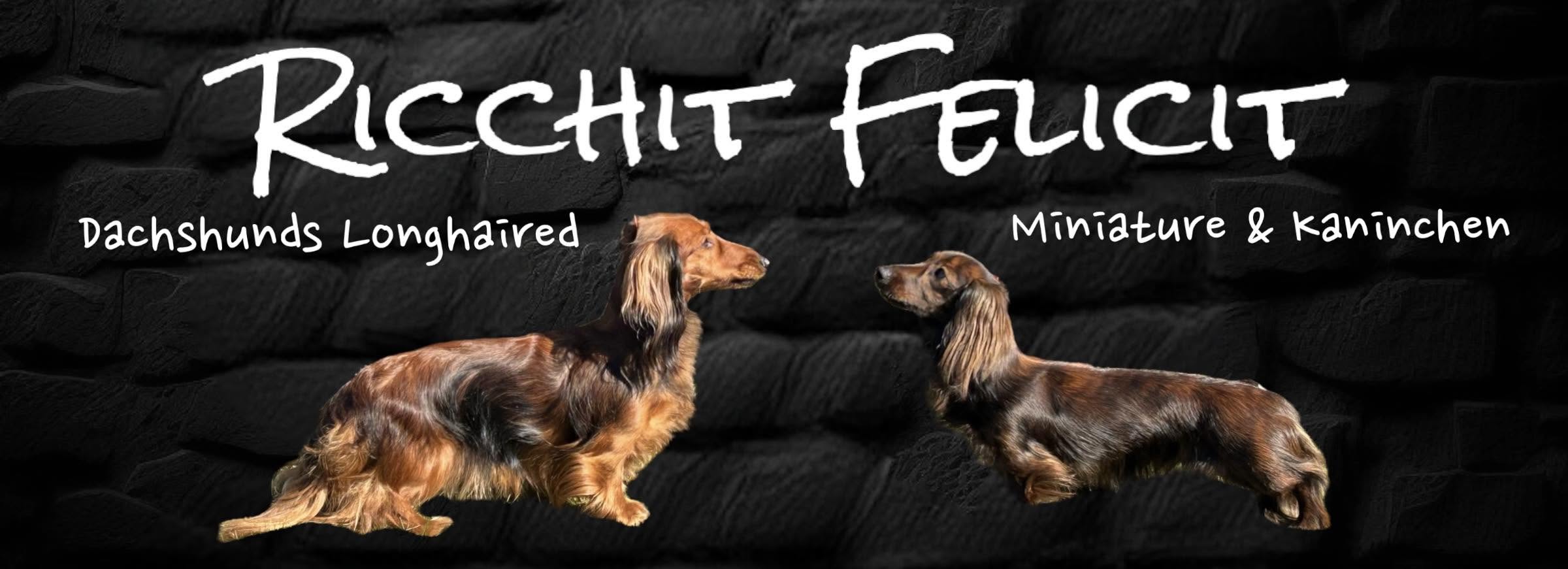 Ricchit Felicit