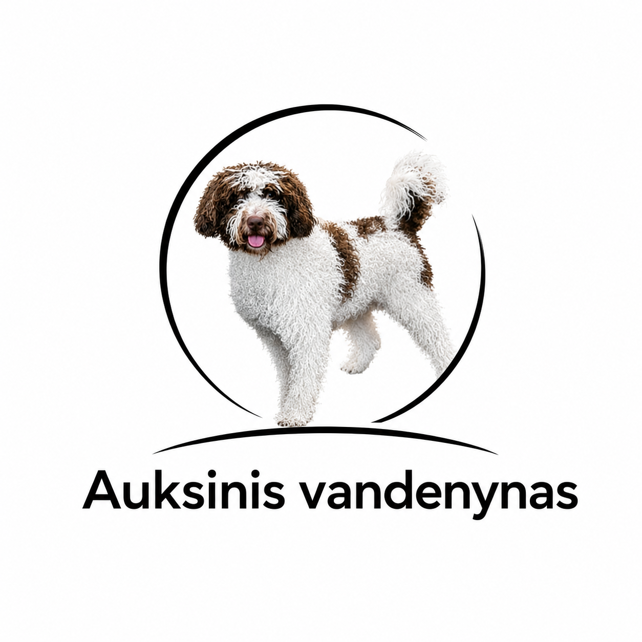 Ispanų vandens šuo Auksinis Vandenynas