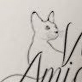 Vita Amicus cattery
