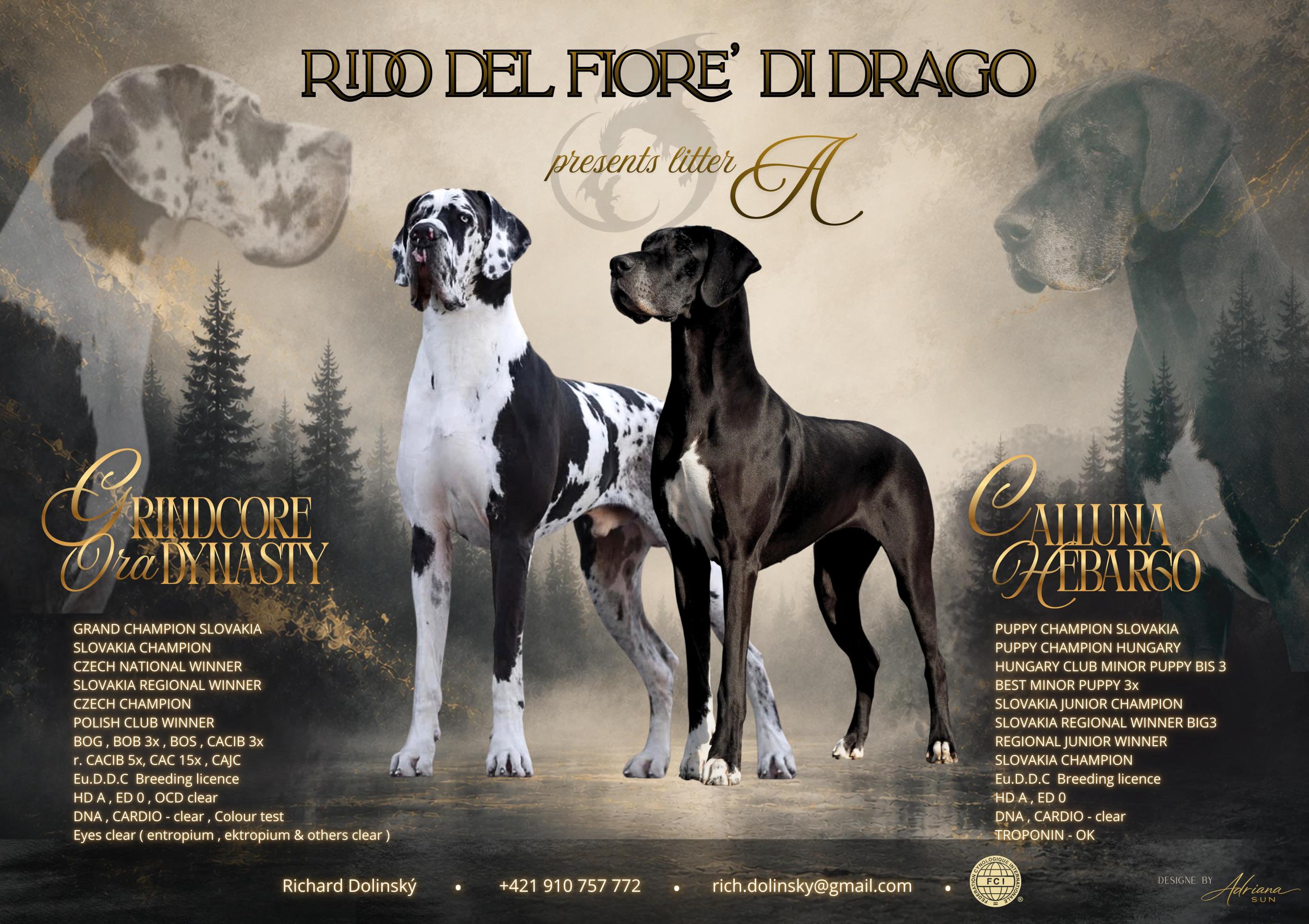 RiDo del Fiore´di Drago