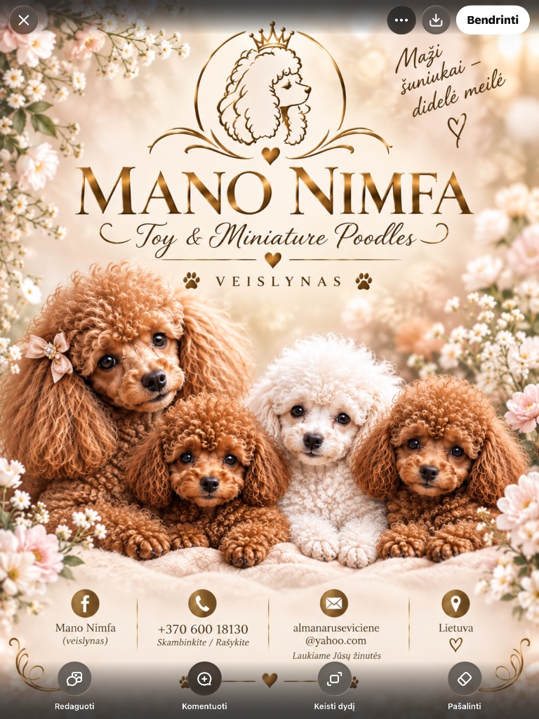 Mano Nimfa